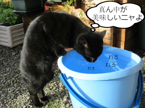 BlogPaint