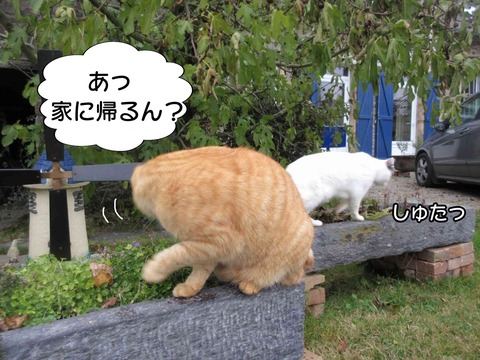 揉める 7