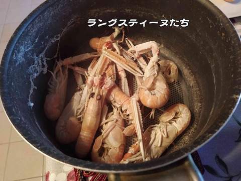 マトウダイ 15