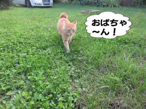 きた 1
