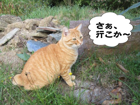 きた 88
