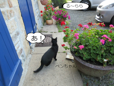 BlogPaint