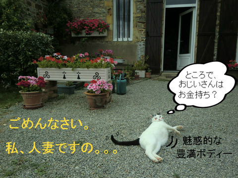 BlogPaint
