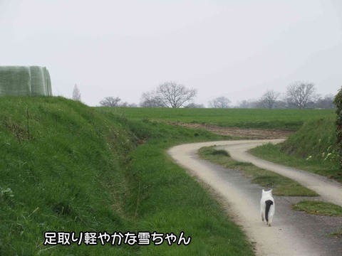 どこへ行く 1