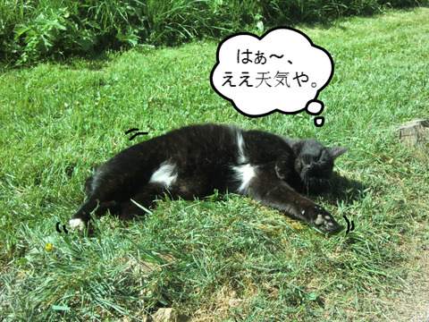 BlogPaint