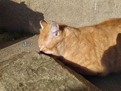 雨　6