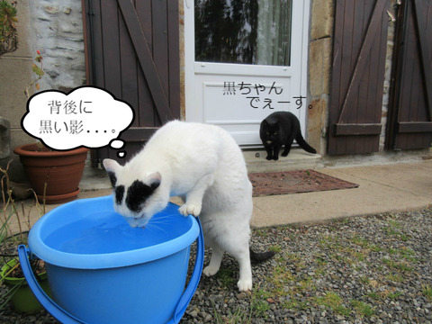 BlogPaint