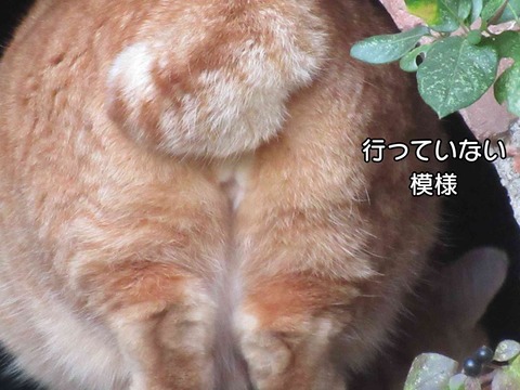 大人の対応 9