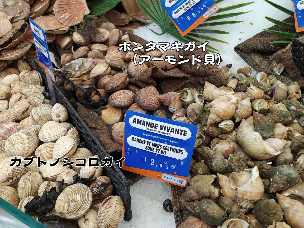 お魚屋さんの写真で簡単更新 ソワレが要らないフランス暮らし お魚屋さんの写真で簡単更新 ソワレが要らないフランス暮らし