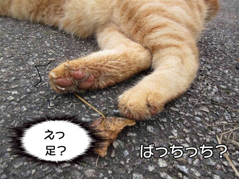 寝転がる 8