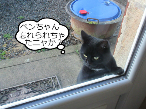 BlogPaint