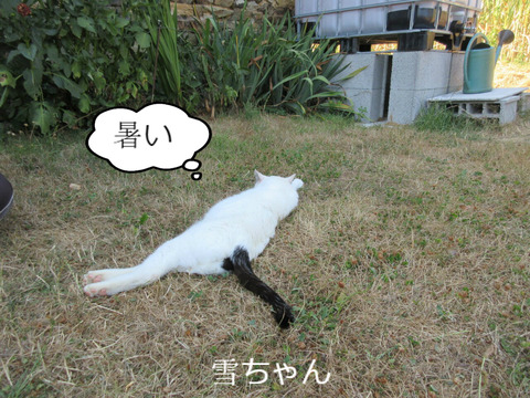 BlogPaint