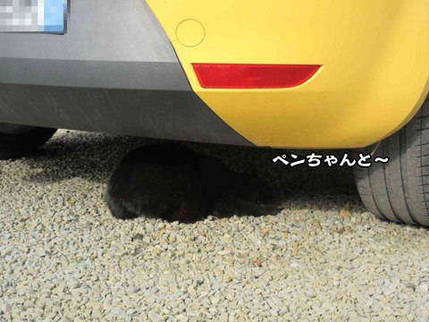 派手な車 6