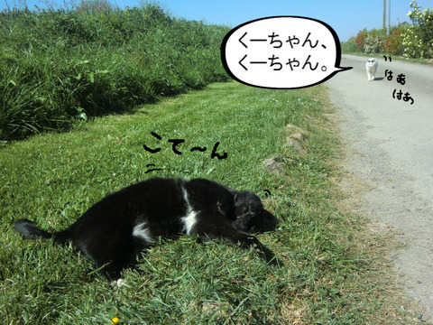 BlogPaint
