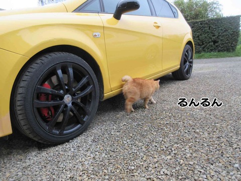 派手な車 9