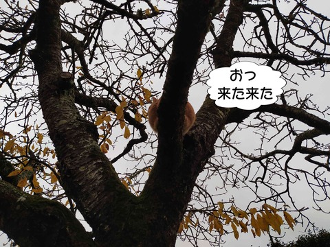 見てる 3
