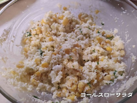 やり残し 9