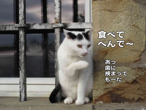 なあ 6