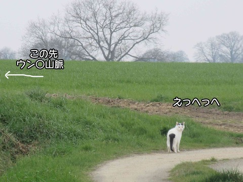 どこへ行く 2