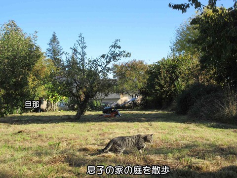 息子 12