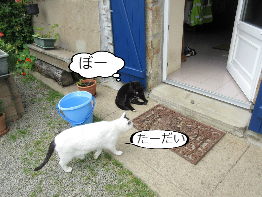 心が縮こまる ソワレが要らないフランス暮らし 心が縮こまる ソワレが要らないフランス暮らし