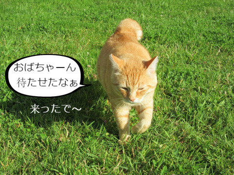 BlogPaint