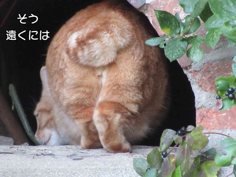 大人の対応 8