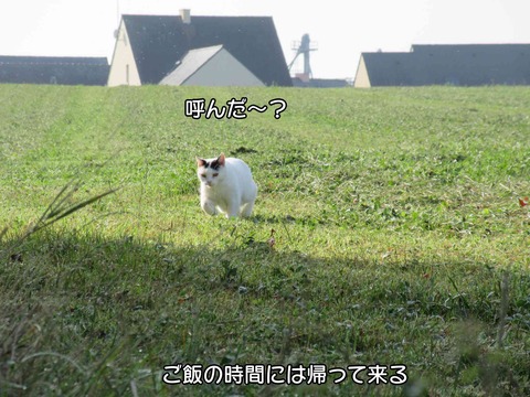 泥棒 3