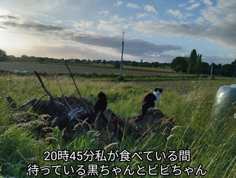 IMG_20260606_220425