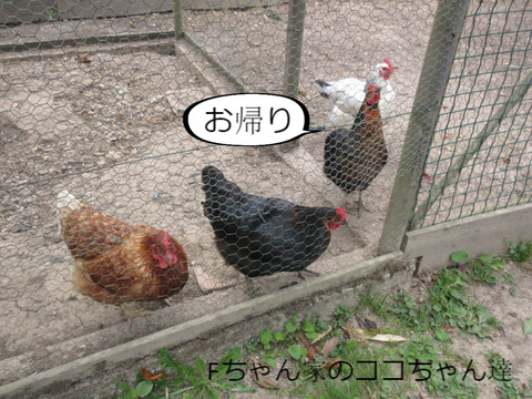 BlogPaint