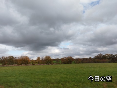 IMG_20251107_222849