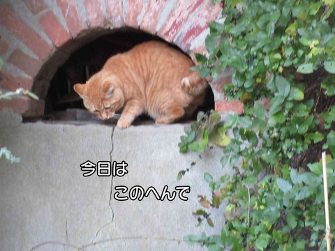 大人の対応 11