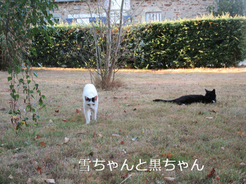 BlogPaint
