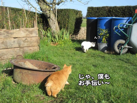 手伝う 2