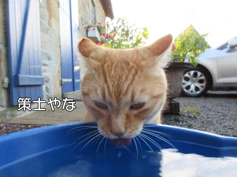 水飲み　3