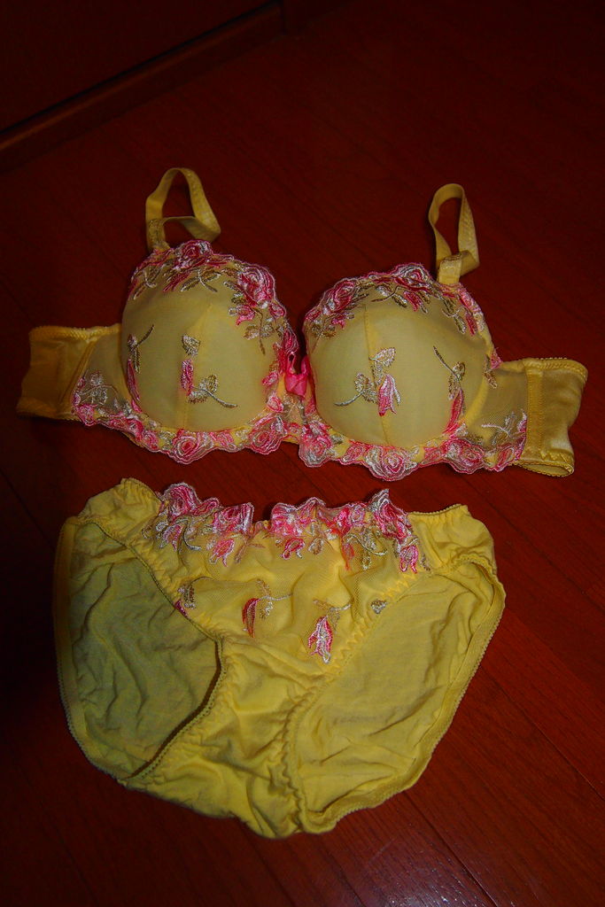 ロリアンミルのブラジャー1 下着に魅せられて