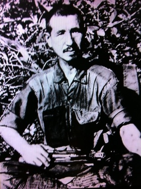 org2332584