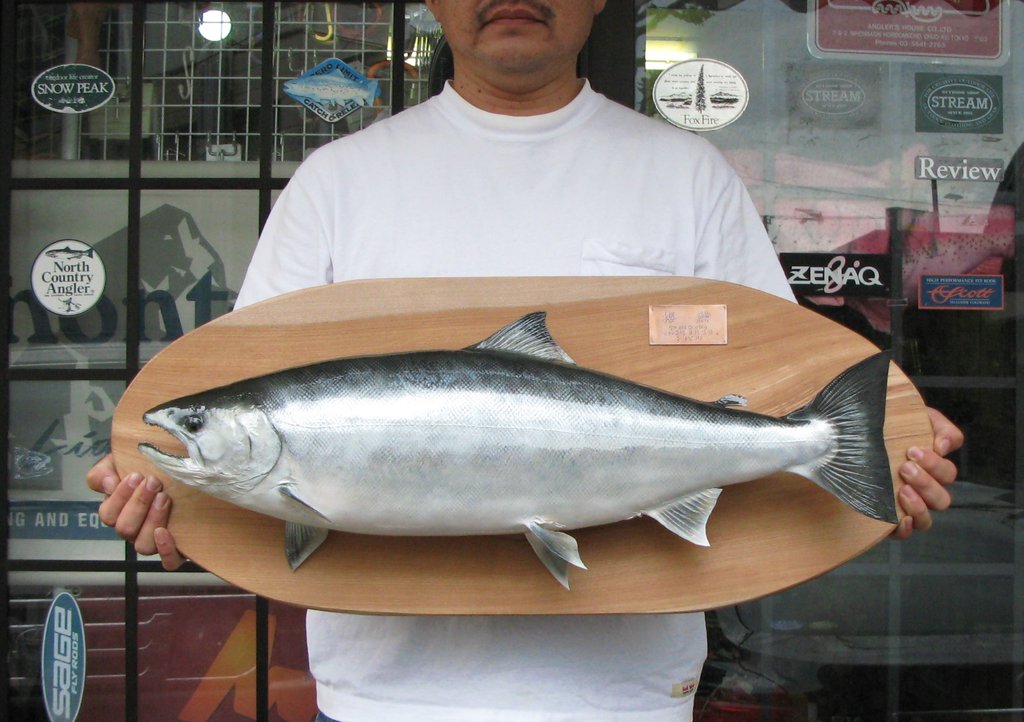 魚類剥製エフクラフト シーランサクラマス鼻曲がりシャクレ雄50 魚類剥製エフクラフト シーランサクラマス鼻曲がりシャクレ雄50