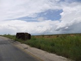 DSCF2770