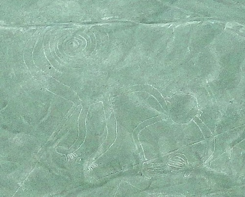１０