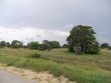 DSCF2799