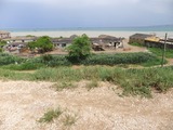 DSCF2761