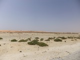 DSCF4572