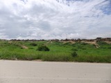 DSCF2764