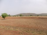 DSCF3965