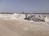 DSCF4428