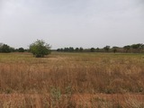 DSCF3946