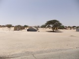 DSCF4551
