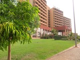 DSCF3920