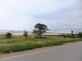 DSCF2798